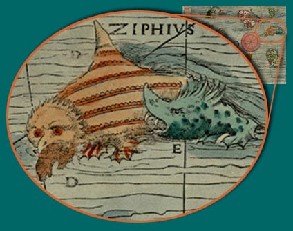 The sea monster Xiphius